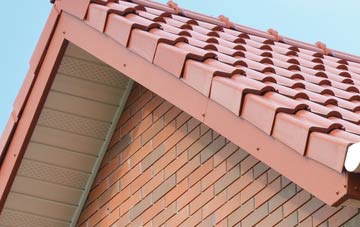 Dunbridge fascia repair quotes
