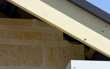 soffit repair Dunbridge
